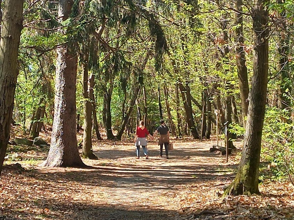Antica Casa Al Lago Oggebio Kültér fotó