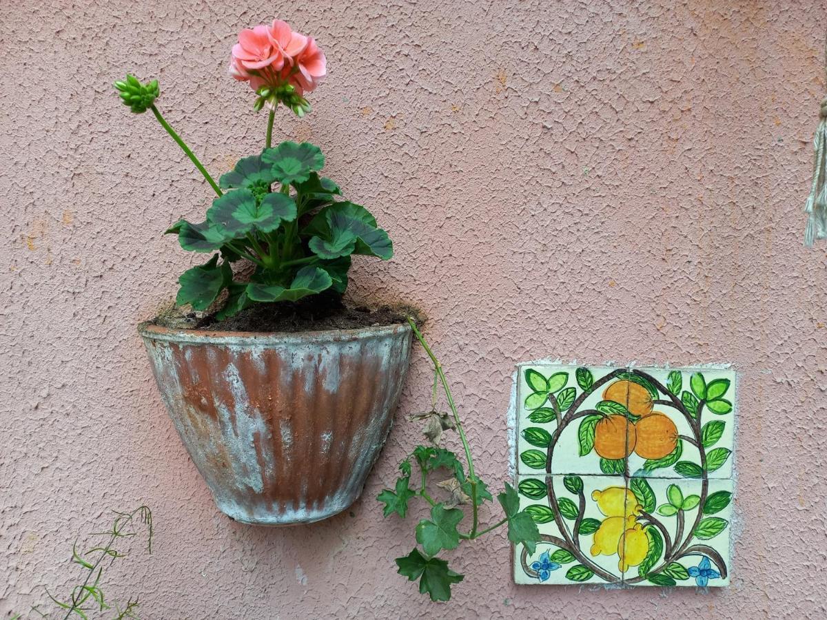 Antica Casa Al Lago Oggebio Kültér fotó
