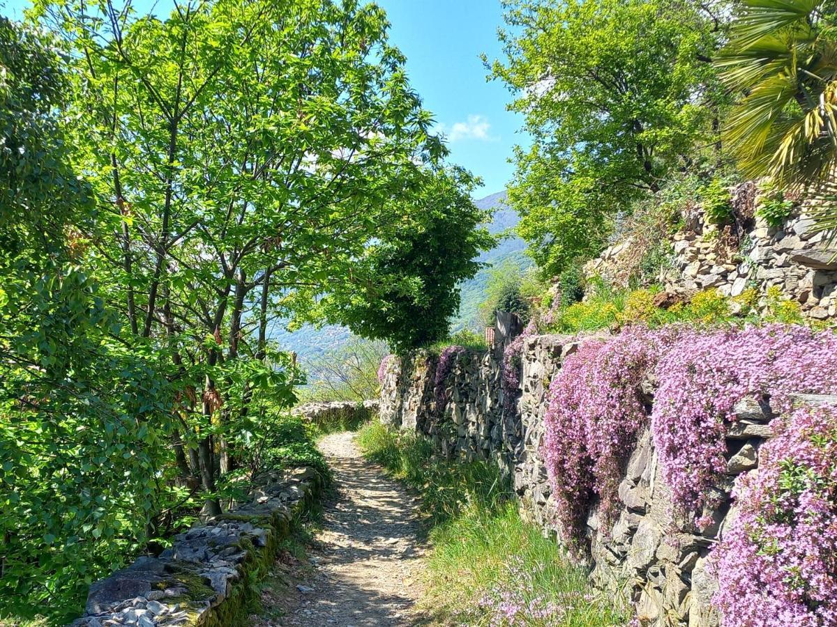Antica Casa Al Lago Oggebio Kültér fotó